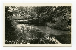 Image description is not available for PHO-264-542